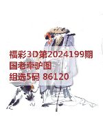 百福3d图库2024199