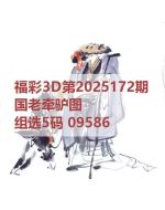 百福3d图库2025172